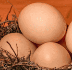 Eggs